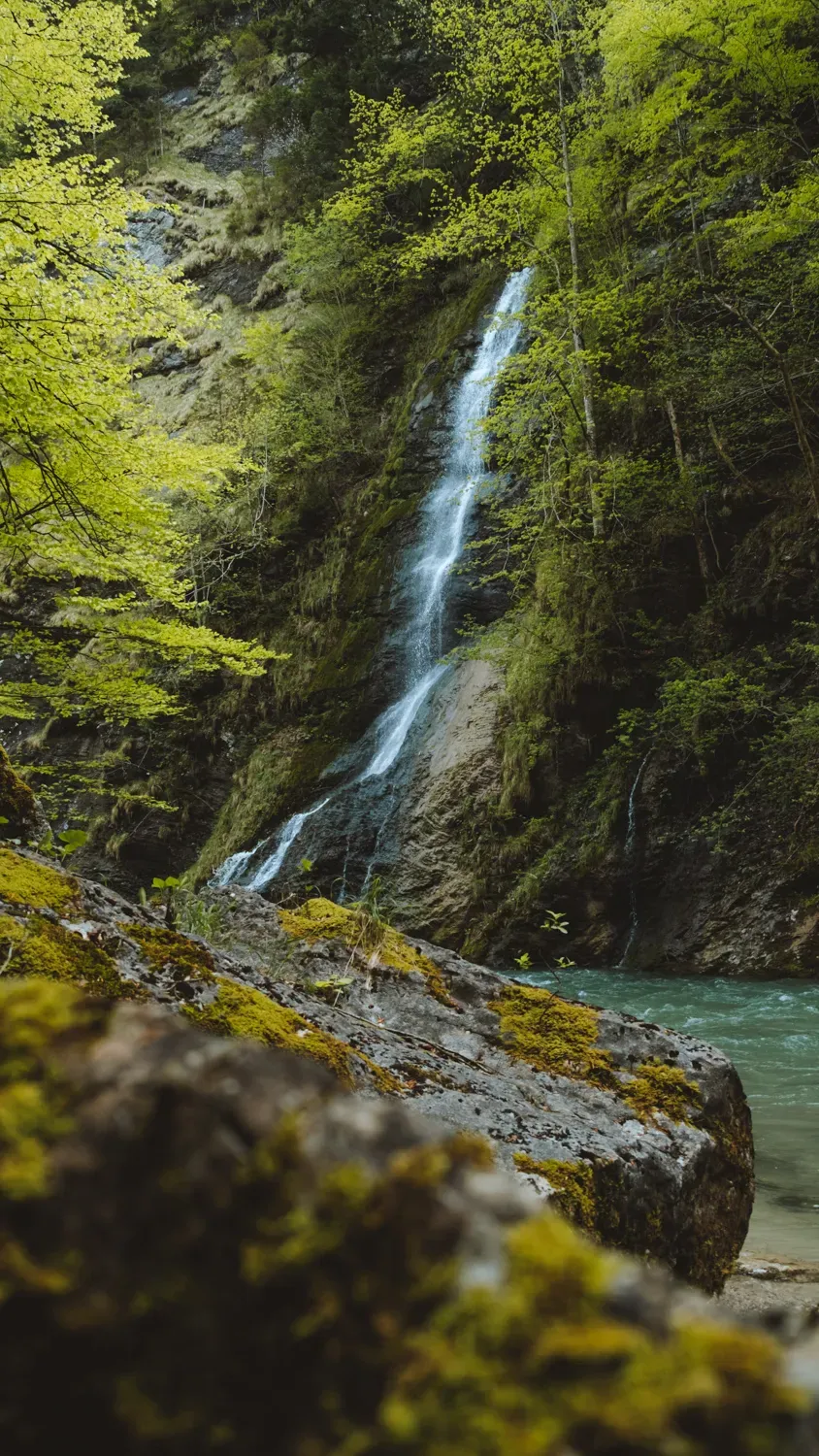 Wasserfall in einer moosbewachsenen Schlucht