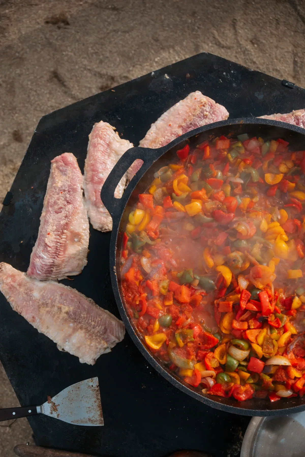 Fischfilets und Paprika-Gemüsepfanne auf der Feuerplatte