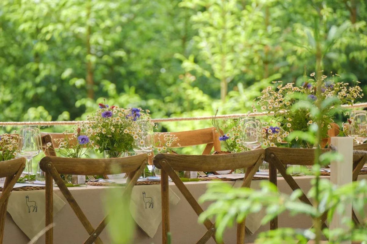 Lange gedeckte Tafel mit Wiesenblumen im Grünen
