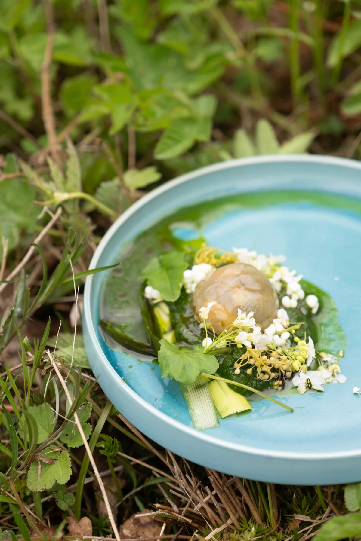 Food - food-09.webp