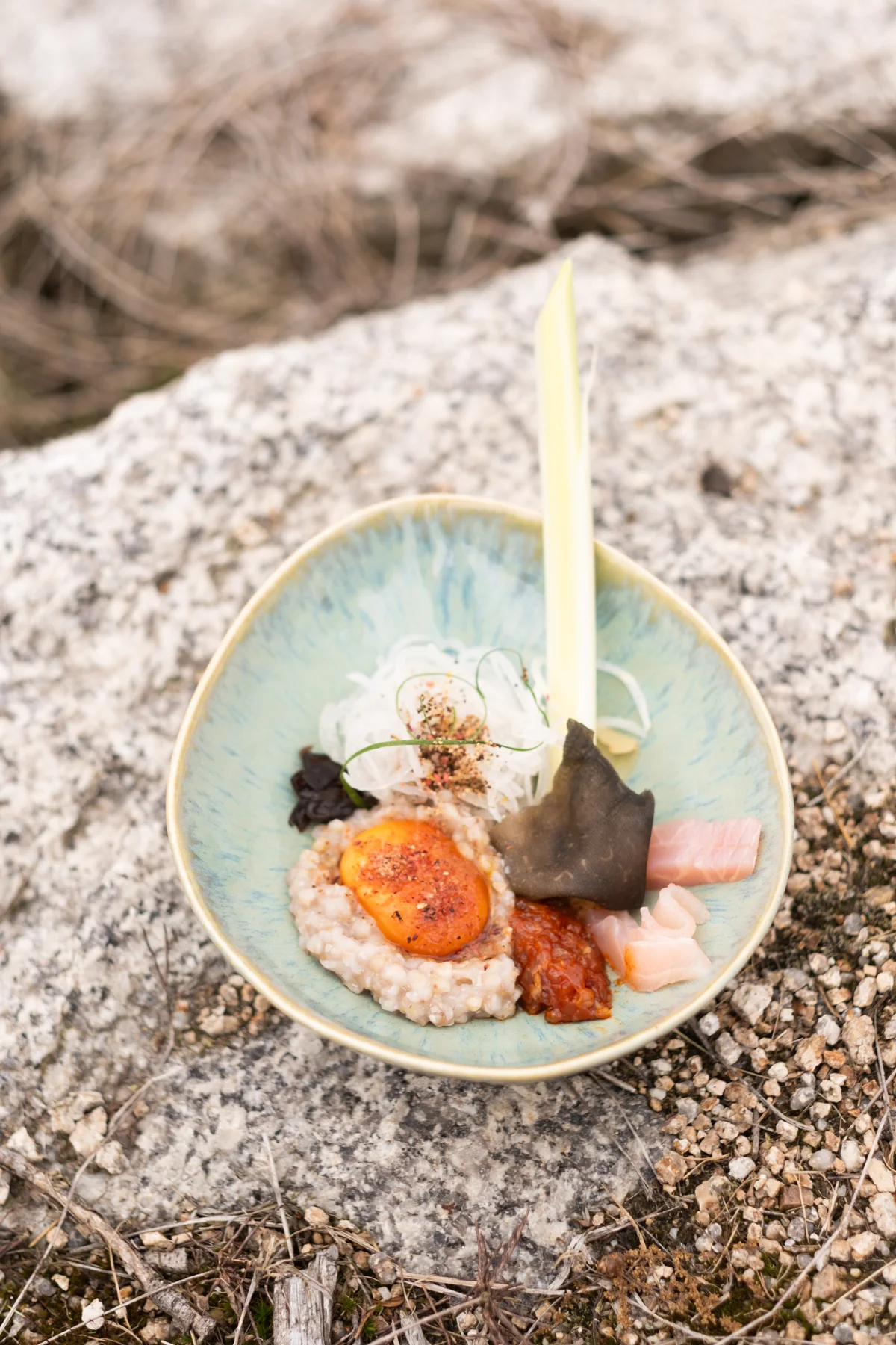 Food - food-11.webp